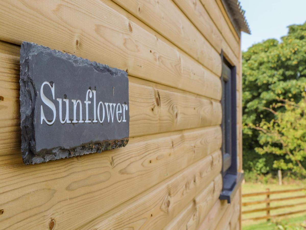 Sunflower Redruth Buitenkant foto